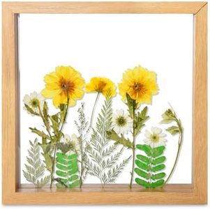 fanhuashijn Clear Pressed Flower Frame - Dried Flower Frame Adult Girls Night Crafts for Women Mother Gift (Yellow-1, Medium)