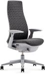 Haworth Fern Ergonomic Office Chair – Stylish and Innovative Desk Chair with Digital Knit Finish - with Lumbar Support (Heathered Grey)