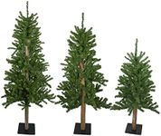 Northlight Set of 3 Alpine Artificial Christmas Trees 3', 4'and 5'- Unlit