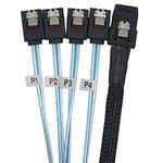 CableDeconn Internal Mini SAS 36Pin (SFF-8087) Male to 4 SATA 7Pin with Latch Forward Breakout Cable