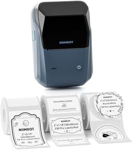 NIIMBOT B1