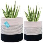 Ikea-plants-for-pots