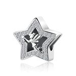 MiniJewelry Little Fairy Star Charm Compatible with Pandora Charm Bracelets Peter Pan CZ Women Girls Daughter Birthday Anniversary Wife Star