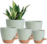 Vanslogreen Plant Pots Indoor 7/6.5