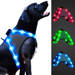 ChalkLit Light Up Dog Harness, Reflective Led Dog Harness Glow-in-The-Dark for Night Walking, USB Rechargeable Lighted Dog Safety Vest for Medium Dogs, Adjustable Soft Mesh No Pull (Blue, XL)