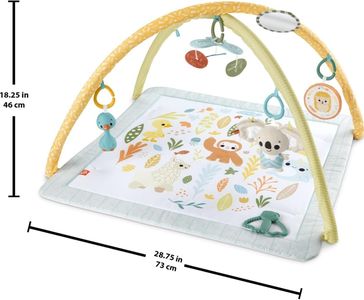 Fisher-Price Baby Playmat Gym – Soft Activity Mat for Infants