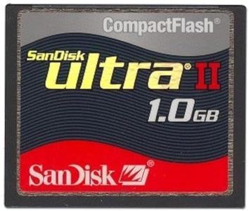 SanDisk 1G