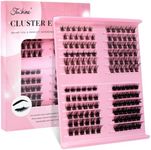 Fenshine Cluster LashesIndividual L