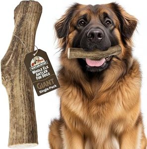 Heartland Elk Antlers for Dogs - Grade A, Naturally Shed Antlers | Dog Bones for Aggressive Chewers & Teething Puppies | All Breeds Chew Toy USA Made & Veteran Owned (Whole Elk: 9+", Giant, 1-Pack)