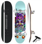 Kryptonics Longboard Skateboards