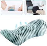 Lumbar Support Pillow/Back Cushion,