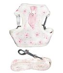 Lulu Pink Dog Harness