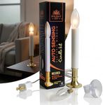 Holiday Joy - 1 Pack Christmas Wind