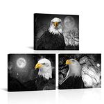 RyounoArt Bald Eagle Canvas Wall Art Cool Eagle Artwork Black and White Eagle under Moon Night Pictures for Living Room Bedroom Office Wall Decor Ready to Hang 12"x16"x3 Pcs