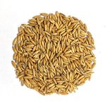 Pets Wizard - Birds Food Long Oats Seeds 450 Grams, Dry, Seeds, All Life Stages