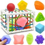 Montessori Toddler Toys for 1 Year Old Boy Girls Gifts, Baby Toys for 3-6-12-18 Months, Brain Sensory Bin Shape Sorter with 3 Soft Textured Ball, Development Activity Toy for Toddlers