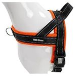 MSR No Pull Dog Harness with Breath