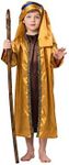 Dress Up America Saint Costume for Kids - Boys Shepherd Costume - Brown and Gold Biblical Costume for Kids