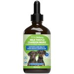 Pet Wellbeing Milk Thistle for Dogs (4 fl oz (118 ml))