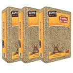 Extra Select Barley Straw Bedding - Soft Animal Bedding for Rabbit, Tortoise, and More - 2 kg (Pack of 3)