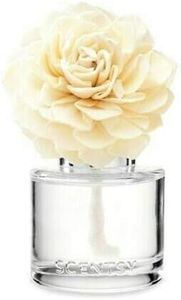 SCENTSY - 