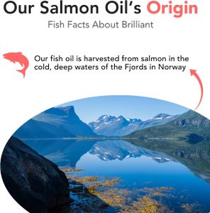 Brilliant Salmon Oil for Pets, 300ml – Pure Omega-3 Supplement