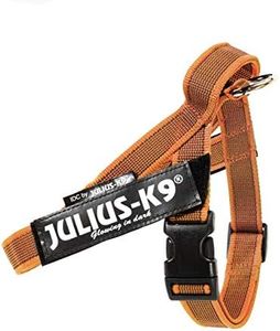 Julius-K9, Harnais à sangles IDC Color & Gray, Taille: 0, Orange-Gris