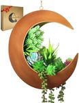 Hanging Crescent Moon Planter - Moon Room Decor - Unique Planters for Succulents, Air Plants, Cactus, Artificial Plants- Plant Lover Gifts - Boho, Hippie, Birthdays, Witchy Gifts for Women (Gold)