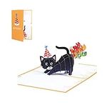 1 PCS Cat 3D Greeting Card Birthday