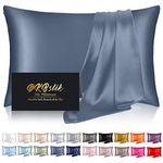 Silk Pillowcase for Hair and Skin, Mulberry Silk Pillow Cases Standard Size, Anti Acne Cooling Sleep Both Sides Natural Silk Satin Pillow Covers with Hidden Zipper, Gifts for Women Men, Ash Blue