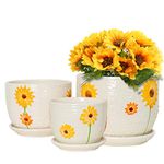 Ton Sin Plant Pots,Set of 3 Ceramic Sunflower Flower Pots for Indoor Plants,4+5+6 inch Pots with Drainage Hole Saucer,Garden Pots Catus Planters