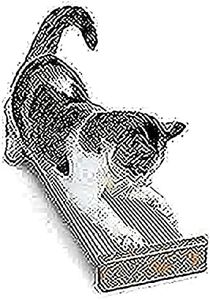 SmartCat Combination Scratcher, 61 cm Length x 18 cm Width x 6 cm Length