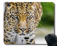 YENDOSTEEN Gaming Mouse Pad Custom,Leopard Predator Big Cat 182430 Non-Slip Rubber Base Mousepad