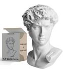 11.8 inch Tall David Bust Greek Roman Statues Sculptures for Home Decor Statue of David Large White Plastic Head Statue Saint Diana Versailles bust Goddess Mythology Small Mini Art Busts Sculpture