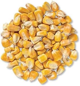 Bulk Whole Corn for Wildlife Feeding (1, 50 Pounds)