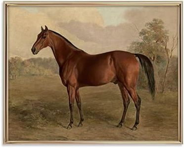 Equestrian