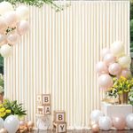 10x10 Champagne Backdrop Curtain fo