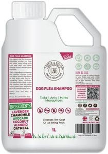 Dog Flea S