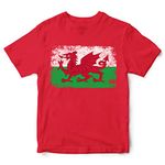 Purple Print House Wales Rugby Flag T Shirt for Kids, Cymru Boys Gifts for Rugby Fan, Welsh Unisex Childrens Tshirts, 5-6 Years, Red