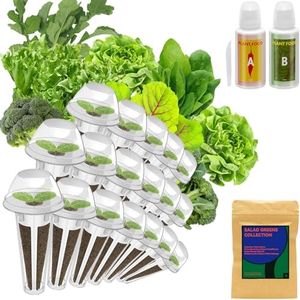 inbloom Salad Green Seed Pod Kit for AeroGarden, Ahopegarden, GARDENCUBE, MUFGA, 18 Pods (350+ Seeds with American Fast/Paris Island/Buttercrunch Lettuce, Swiss Chard, Spinach, Cauliflower, Cabbage)