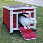 Small Rabbit Hutches