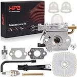HIPA C1U-K78 Carburetor + Tune-Up K