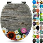 Sanfino® Premium Toilet Seat with Soft Close - Wooden Toilet Lid, Lots of Colourful and Decorative Designs, high Seating Comfort, Easy to Install Including Instructions - "Alp Flower"