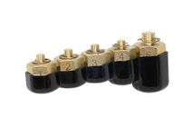 Lisle 10810 Injector Rail Fuel Line Cap Set, 5 pc.