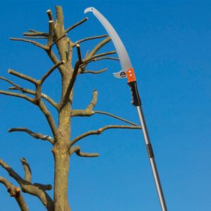 Walensee Pole Saw, 426cm Extendable Tree Pruner