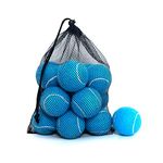 HPWFHPLF Tennis Balls, 12 Packs Practice Tennis Balls for Beginners, Training Playing Tennis Balls for Dogs, Come with Mesh Carry Bag (Blue)