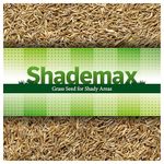 Shademax – Grass Seeds for Shady Areas, Lawn Seeds for Shade, Shady Grass Seed, Lawn Seed (5kg)