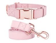 Dog Collar and Leash Set for Small, Medium Large Dogs ，Soft Vegan Leather with Rose Gold Metal Buckle and Easy to Clean (XS(8"-12"), Pink)