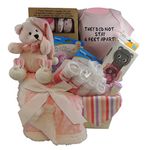 Baby Girl Gift Basket: They Did Not Stay 6 Feet Apart. Sherpa Blanket. 3pc Containers, 5pc Layette Gift Set and more