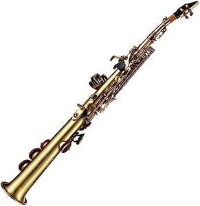 SIUKE Professional Brass Straight Bb Soprano Saxophone Nickel Plated Sax Woodwind Instrument Carve Pattern with Carrying Case Mouthpiece Reed ing Kit Gloves Straps Brush,Brass Saxophone,Saxophone